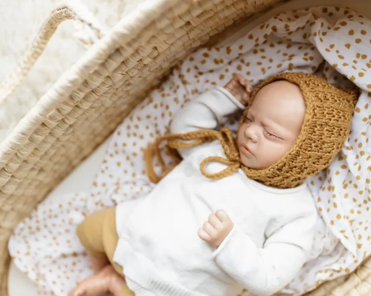 Bebês Reborn Humanização